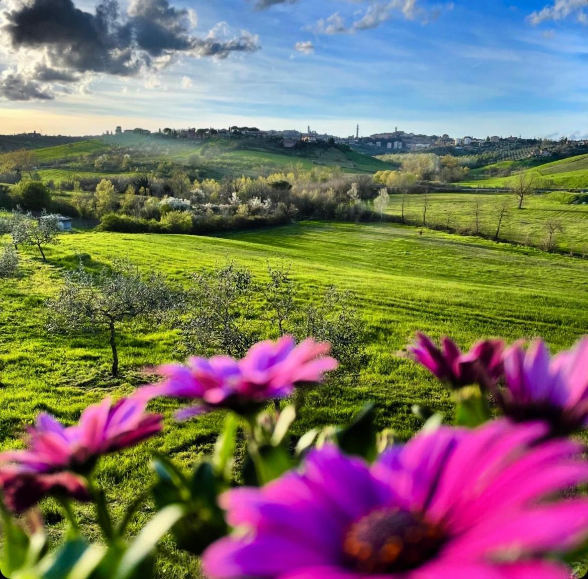Agriturismo La Corte Del Sole Сієна Екстер'єр фото