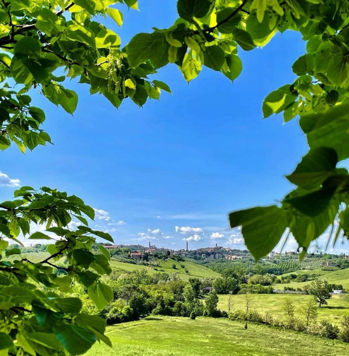 Agriturismo La Corte Del Sole Сієна Екстер'єр фото