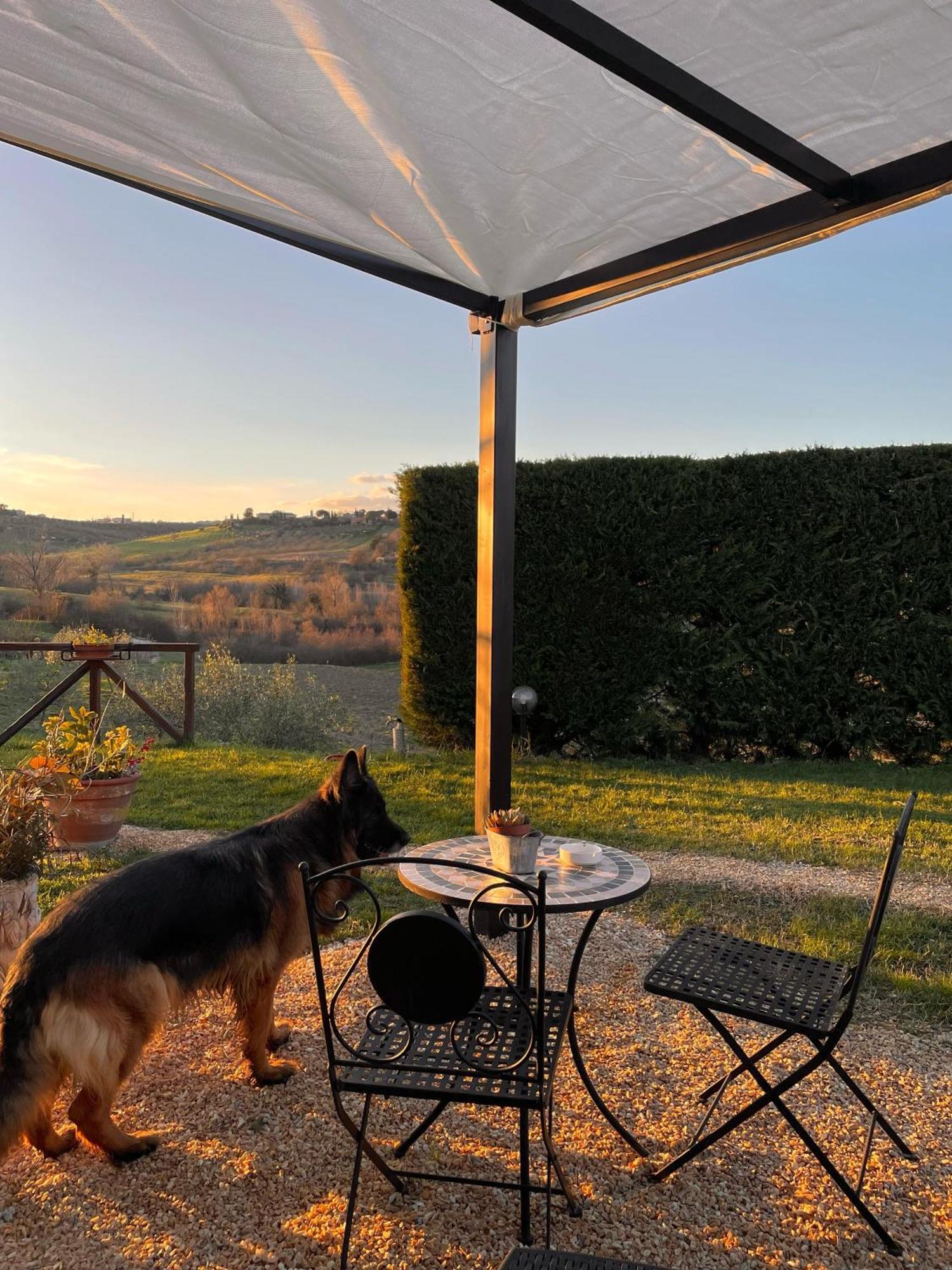 Agriturismo La Corte Del Sole Сієна Екстер'єр фото