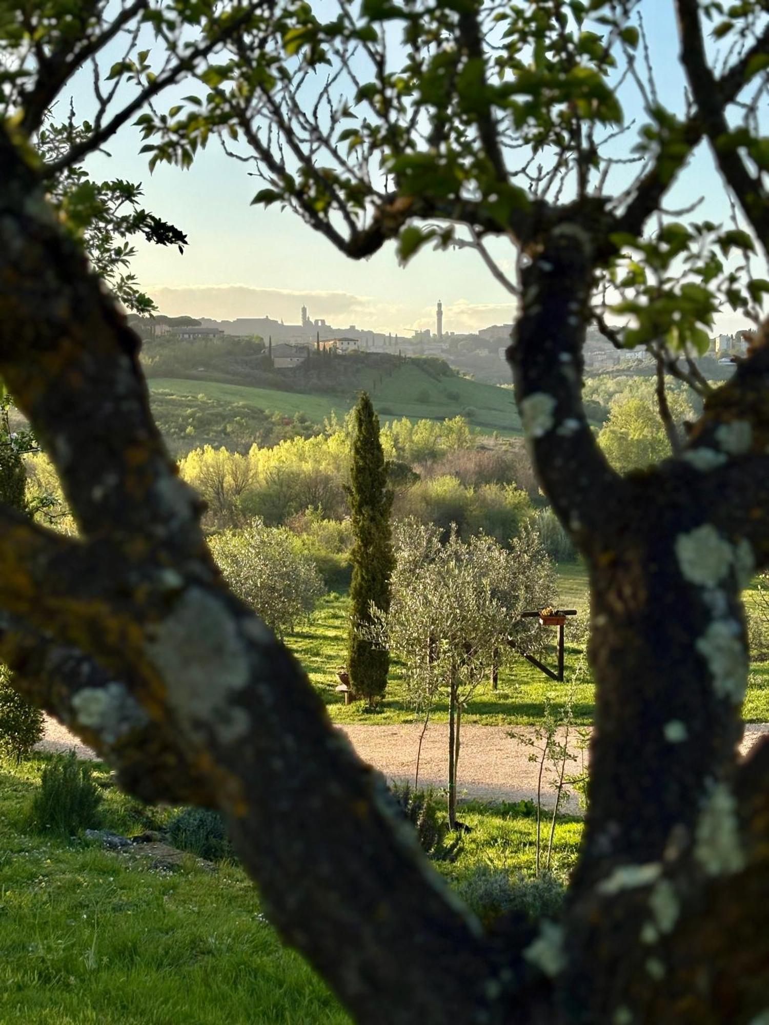 Agriturismo La Corte Del Sole Сієна Екстер'єр фото