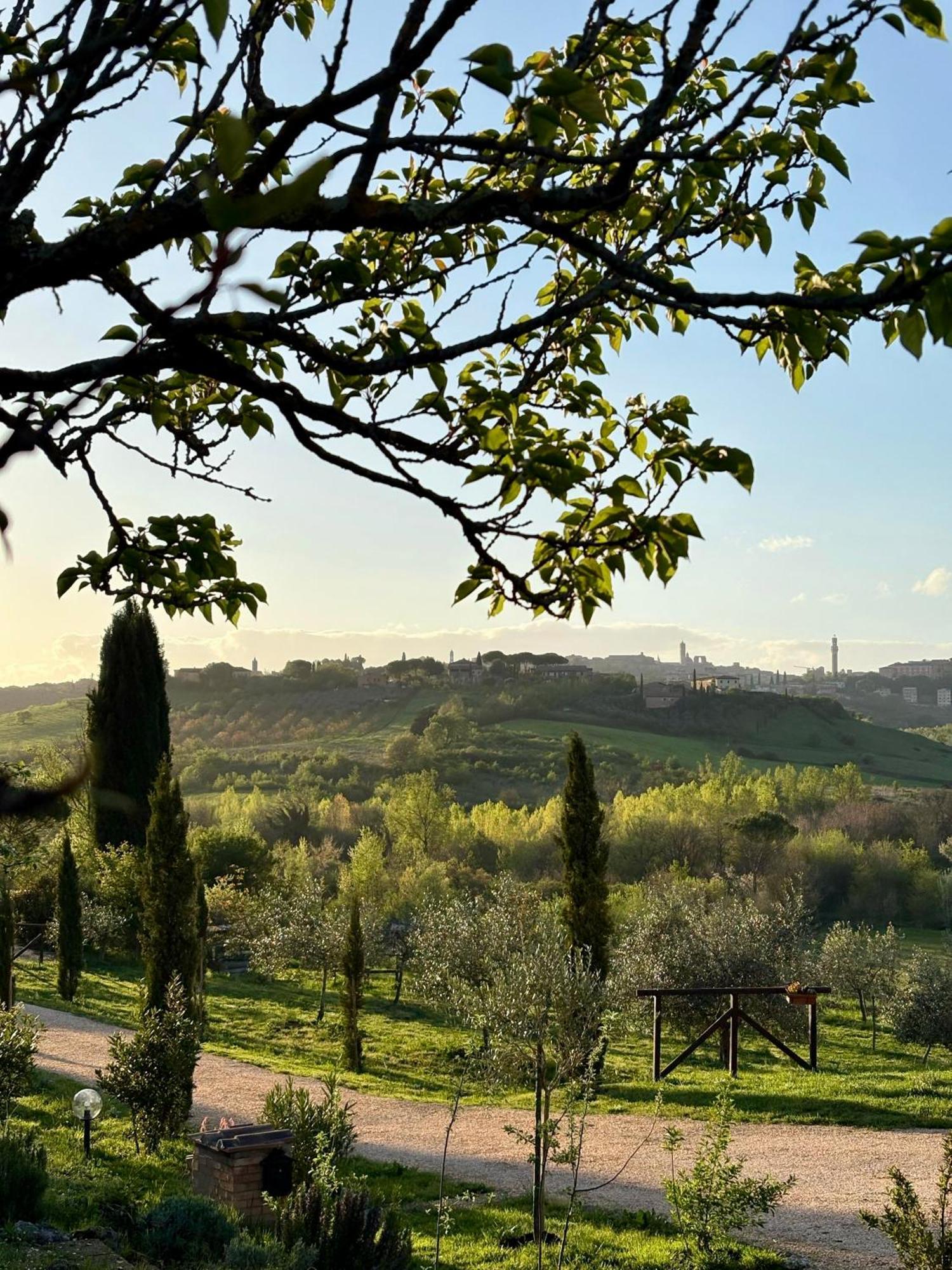 Agriturismo La Corte Del Sole Сієна Екстер'єр фото